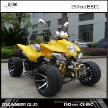 250cc EEC Racing Quad ATV avec roue en alliage de 12 pouces / 14 pouces Refroidi à l&#39;eau